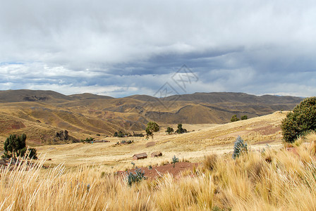 沿CuscoPuno路观察秘鲁南美沿图片