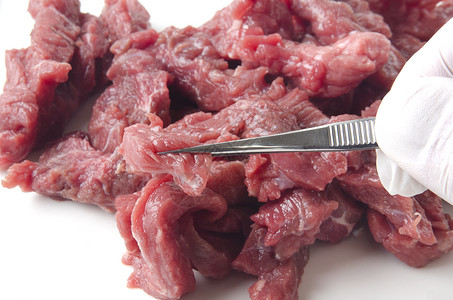 在食品实验室检查牛肉条纹在食图片