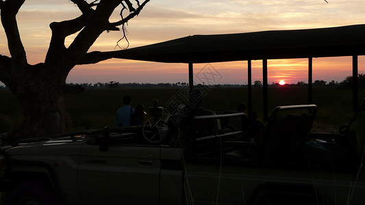 享受吉普车在博茨瓦纳奥卡万戈三角洲波姆彭岛的图片
