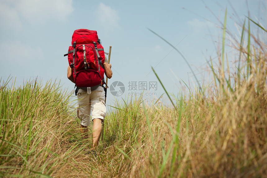 在高草地上徒步旅行时带着一重大土包图片