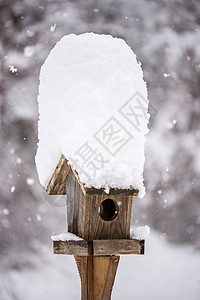 冬季的雪覆盖了鸟屋图片
