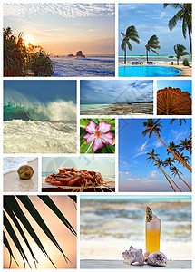 关于在热带岛屿度假胜地度假的拼贴画图片