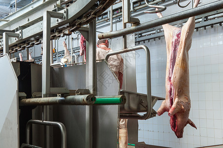 内地肉类工业屠宰场香肠和其他肉制品生图片