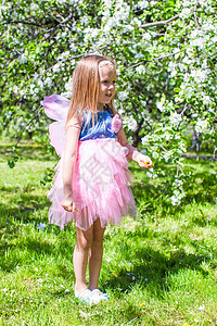 春日在盛开的苹果树花图片