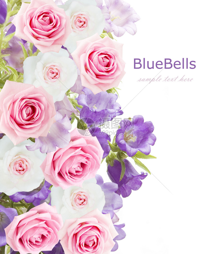 鲜花和玫瑰蓝铃花婚礼背景以白色与图片