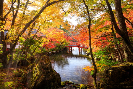 日本秋季公园图片