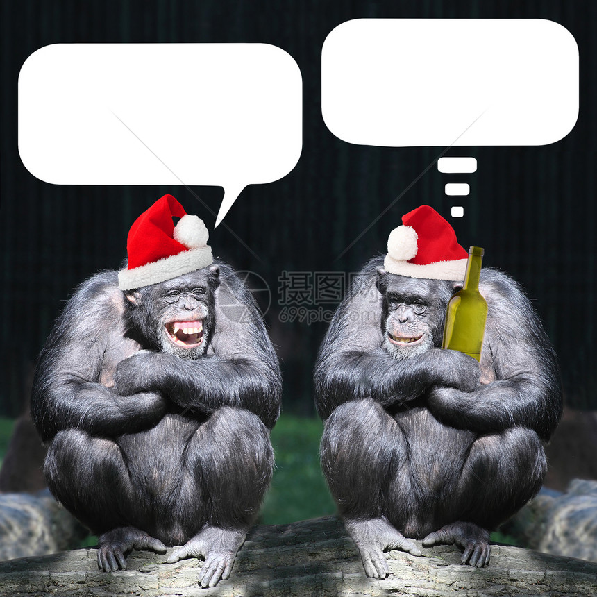 两个喝醉的黑猩在圣诞节派对上玩得很开心照片图片
