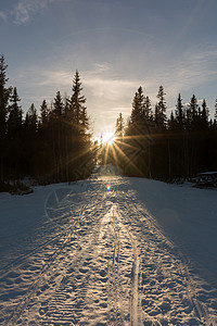雪地摩托在日落时分驶入森林图片