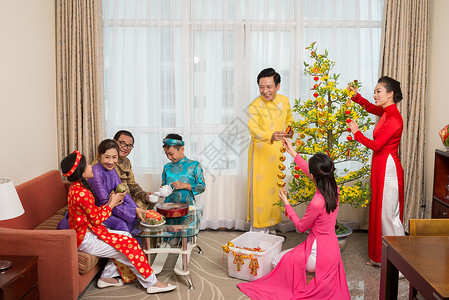 越南家庭为庆祝日装饰杏树图片