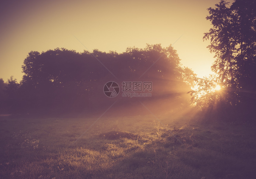 乡村大雾草原风景的美丽照片在日出时拍摄图片