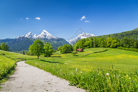 德国巴伐利亚公园Berchtesgadener背景