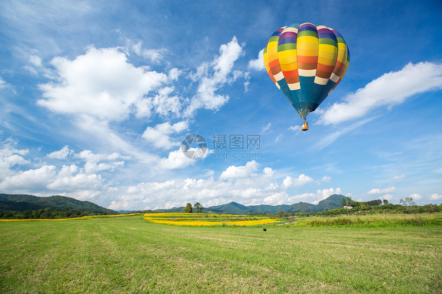 在黄色花田的热气球反对蓝天图片