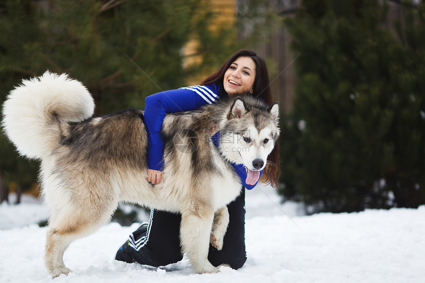 冬天有两只狗的女人养雪橇犬图片