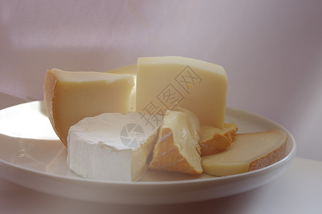 不同种类的奶酪成分图片