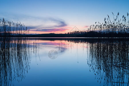 美丽的日落在平静的湖面上湖岸五颜六色和充满活力的风景有芦苇的用作背图片