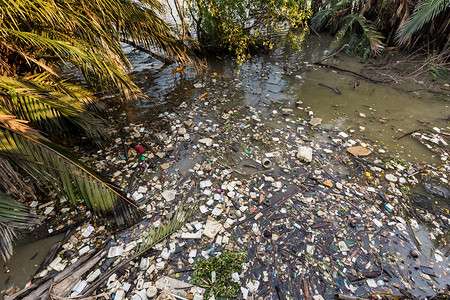 泰国曼谷湄南河的塑料和其他漂浮物造成图片