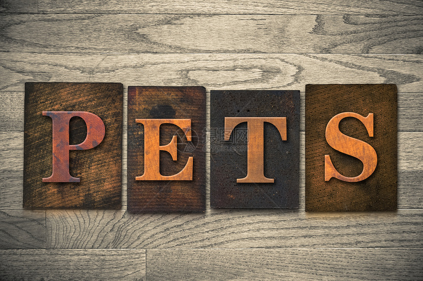 PETS主题以古老墨漆木质纸印刷等图片