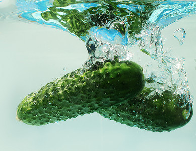 蓝色背景中水的黄瓜图片