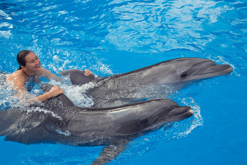 美丽的年轻快乐女孩在阳光明媚的白天与蓝游泳池中的海豚一图片