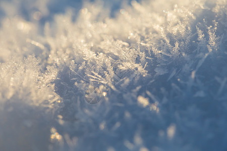 积雪细的滑雪在光亮中图片