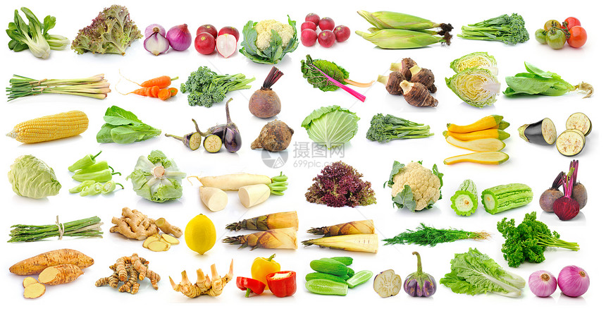 白色背景上的一组蔬菜图片