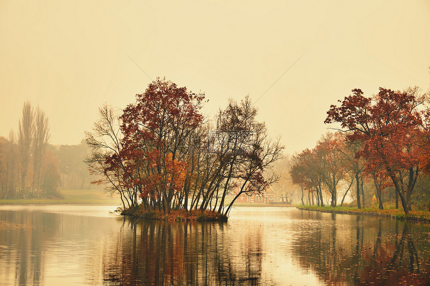 公园里的秋湖水中倒映的树木图片