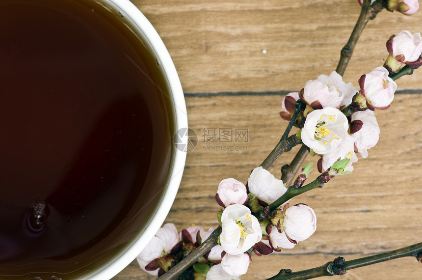 茶桌上有杏子花和树图片