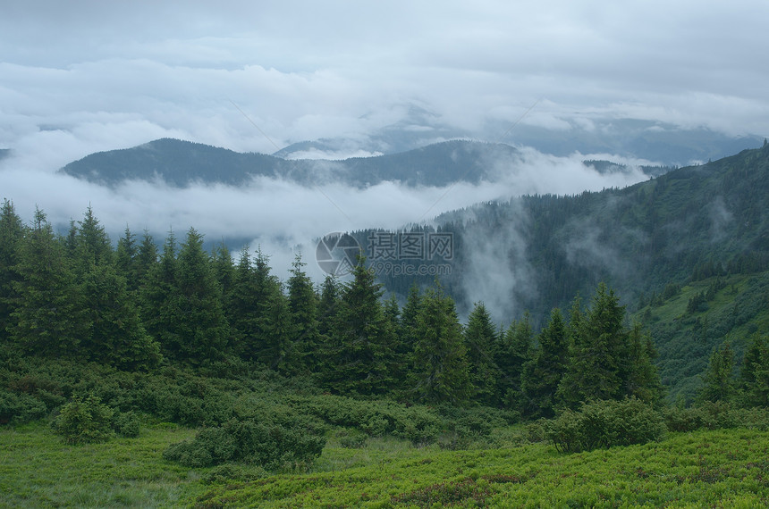 夏季景观山上的雾山图片