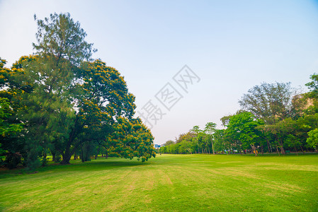公园和休闲区的绿色草坪绿色风景图片