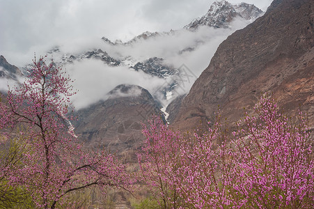 巴基斯坦Hunza山图片