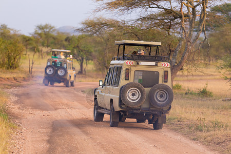 非洲野生物狩猎的四轮驱动吉图片