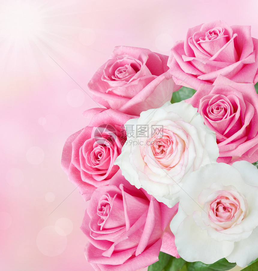 艺术背景上的粉红和白玫瑰束图片