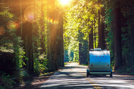 在红杉露营红木公路上的旅行拖车房加州房车图片