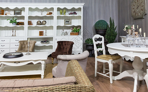 现代奢华的客厅精致的家具图片