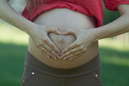 闭紧的怀孕妇肚子用心脏的图片