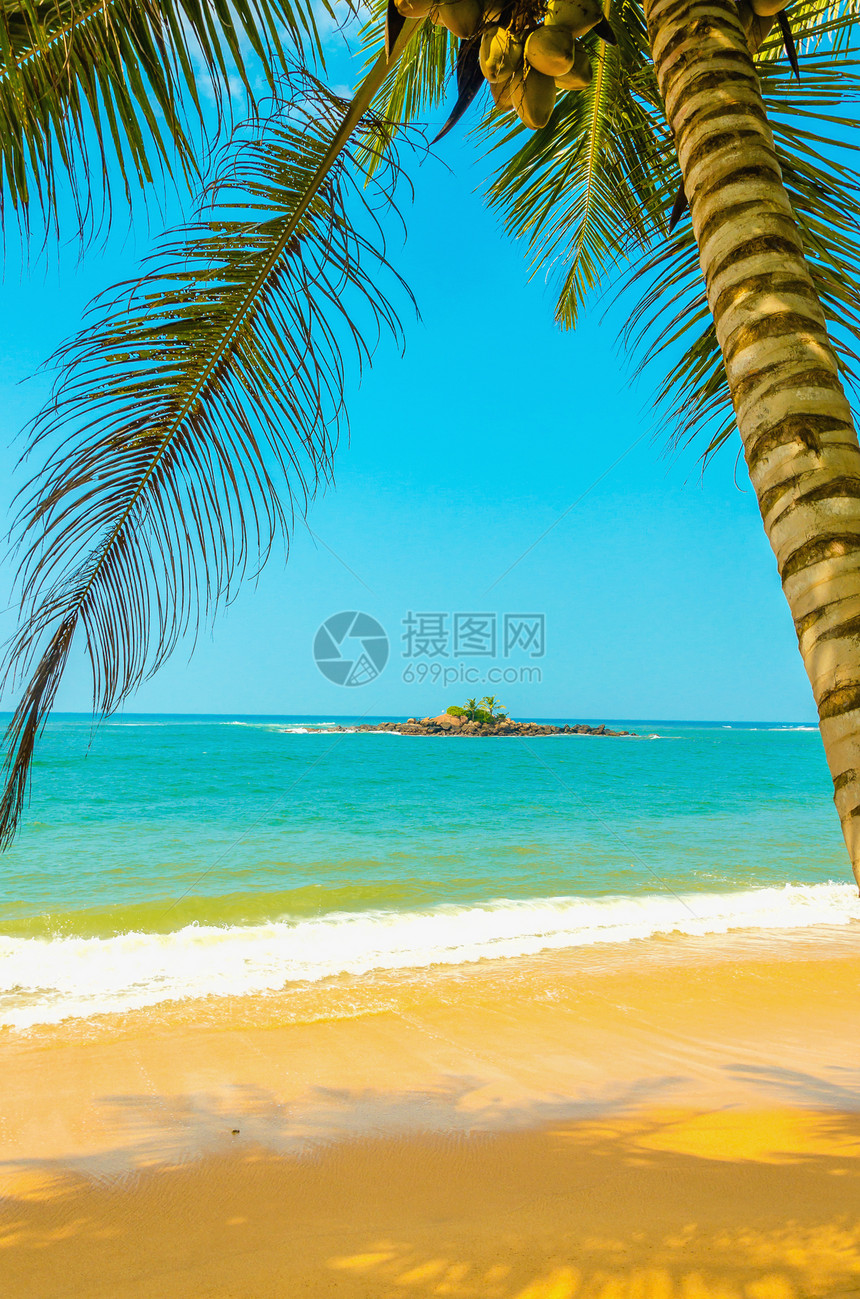 令人惊叹的沙滩有椰子棕榈图片