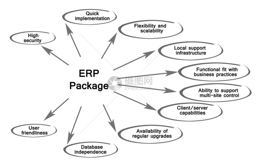 ERP包示意图图片