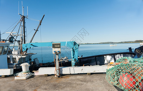 在新西兰陶加码头的渔船和图片