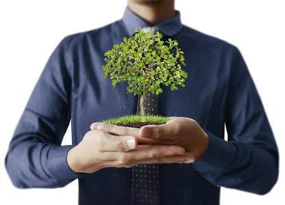 男人手里拿着植物图片