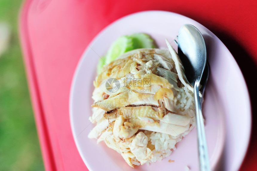 鸡肉和米饭泰国菜在柔和的光线下图片