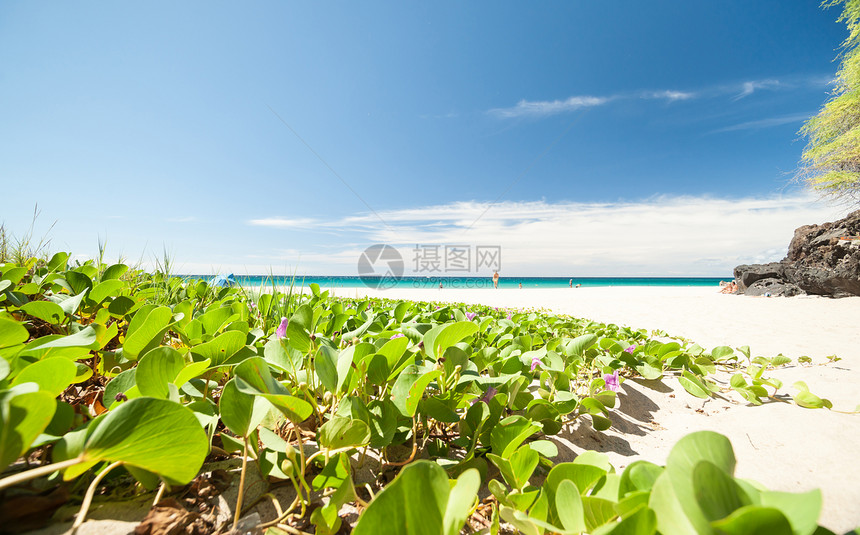 热带海滩景象蓝天白沙和散图片