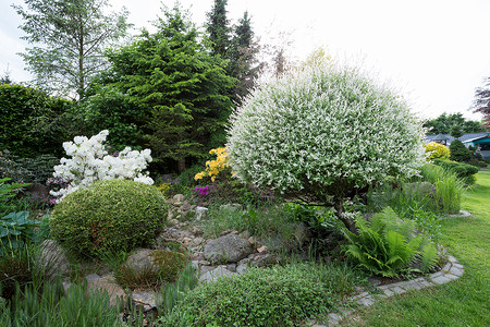 美丽的春天花园设计配有花朵罗多登图片