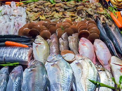 海产食品在鱼市的冰面上餐图片