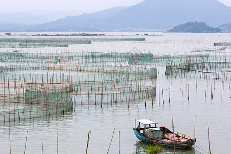 海中大型螃蟹养殖场的网水产养殖是霞浦县东部沿海城镇背景图片