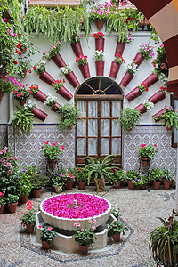 科尔多瓦庭院西班牙图片