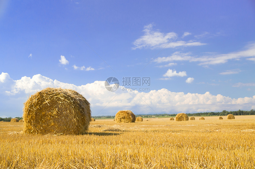 在乌克兰里米亚美丽景观中的田地上的Ha图片