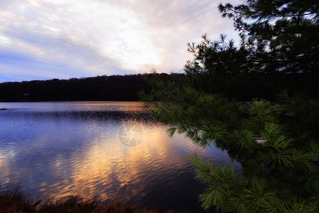 森林湖上日落的美丽景色图片