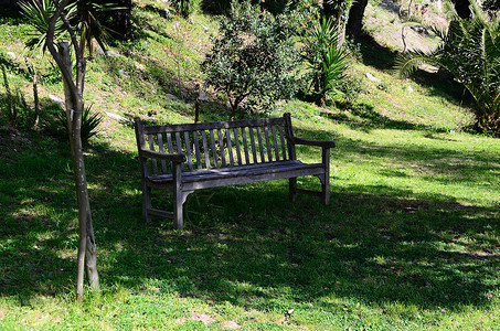 坐在绿色花园里的木凳图片