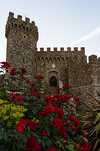 纳帕谷城堡前门的红玫瑰图片