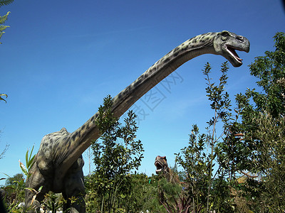 斯蒂芬谢里丹拍摄的恐龙高清图片